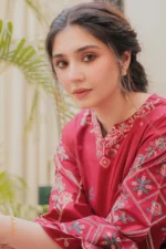 URGE-2PC DHANAK EMBROIDERED SHIRT AND EMBROIDRED TROUSER-BIC-126 - Image 2