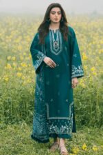 Aizel Winter Collection 2025 – Airjutt Dhanak Embroidered 3PC Suit (Code: 4107)